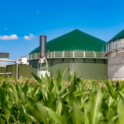 Biogas,Plant,Behind,Maize,Field Biogas,Plant,Behind,Maize,Field